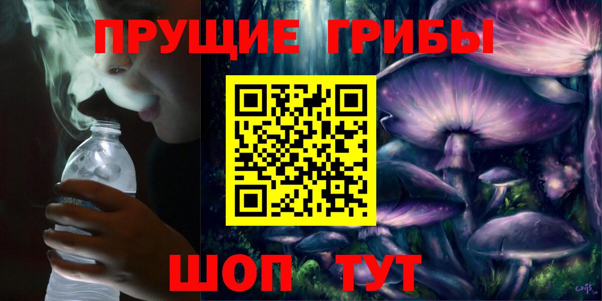 Фурманов  Псилоцибиновые грибы прущие грибы  Псилоцибиновые грибы Psilocybe  Вход с VPN 